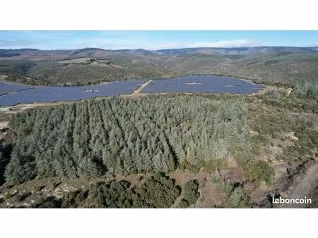 parcelle boisée avec terrain 2 5 hectares