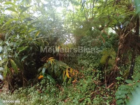 terrain 4 145 m² la plaine des palmistes