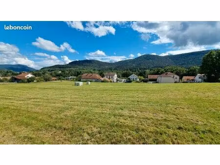 terrain 4700 m² saint die des vosges