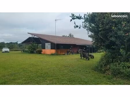 terrain agricole 20 000 m² saint laurent du maroni