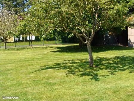 terrain constructible