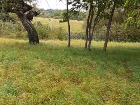 verger de 580 m2 + terrain 119m2