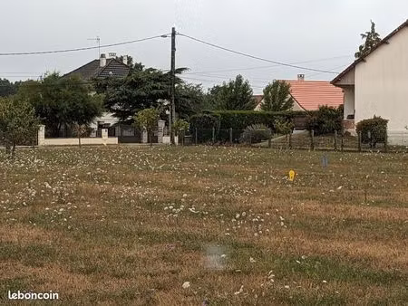 terrain constructible