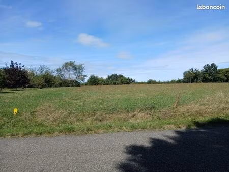 vente terrain cu + g1 comminges