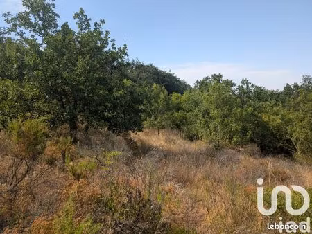 terrain 6500 m² maureillas-las-illas