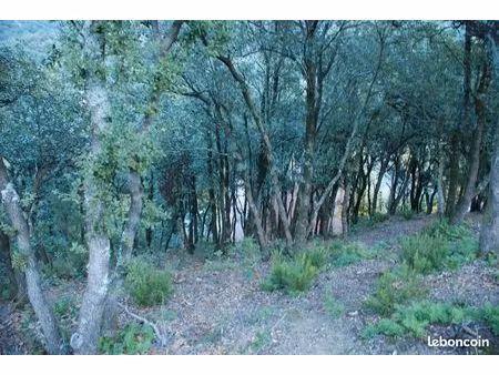 terrain constructible 1257 m² à sorède 66