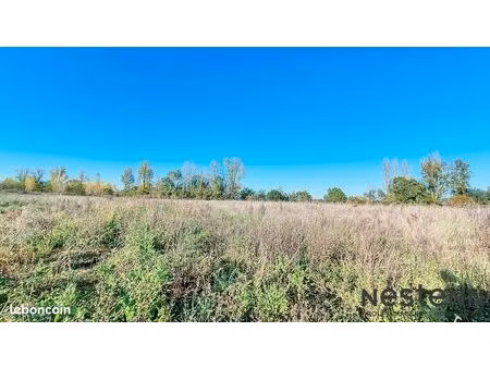 terrain 4454 m² cazeres