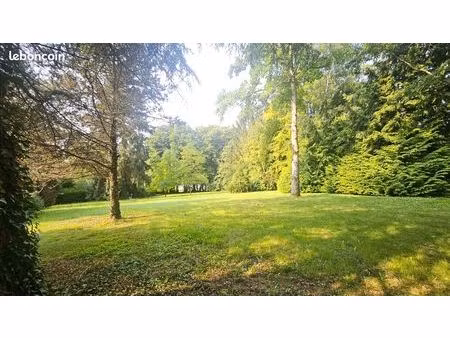 terrain 2000 m² saint paul