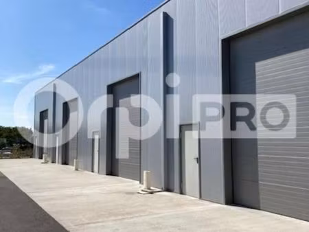 local d'activité 123 m²