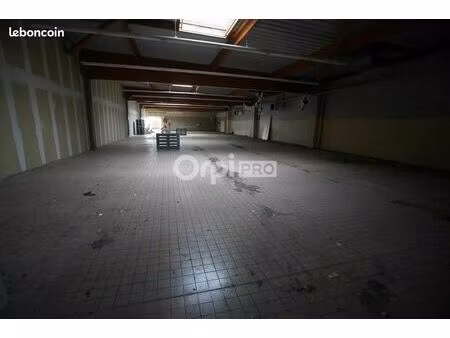 local commercial 515 m²