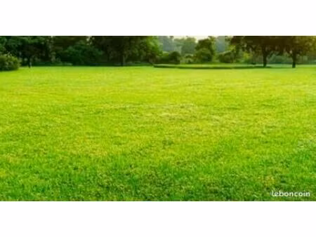 terrain 608 m² saint quentin de baron