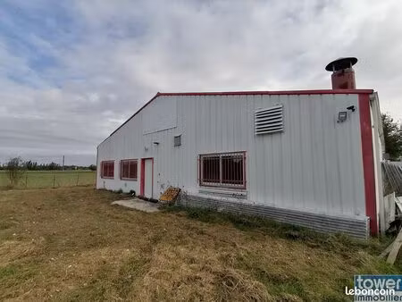 bureaux  entrepôt 445 m² montauban