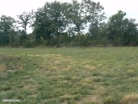 terrain constructible