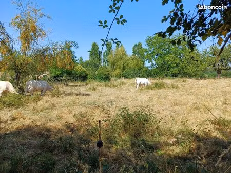 terrain 2217 m² béceleuf