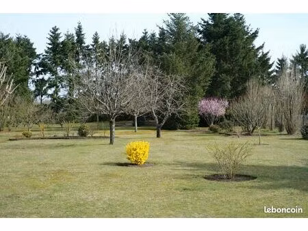 terrain 3000 m2 en second rang