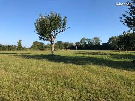 ensemble immobilier : appartement + grange + hangar + 3 5 hectares à moins de 20 minutes d