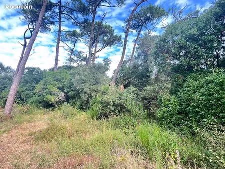 terrain 1 702 m² labenne