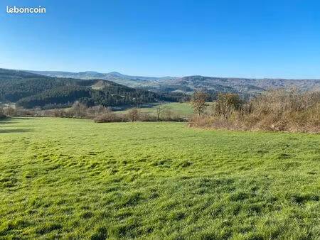 terrains commune lantriac (la collange)