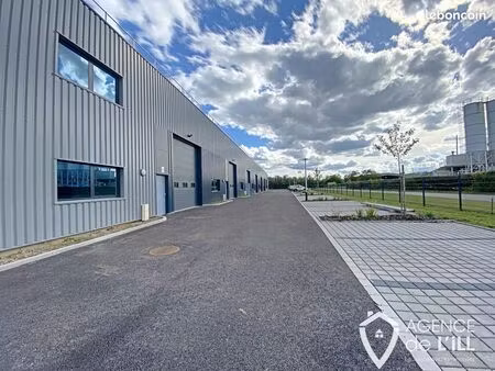 local 491 m² saint-hippolyte