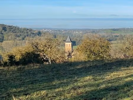 opportunité unique : grand terrain constructible à vendre