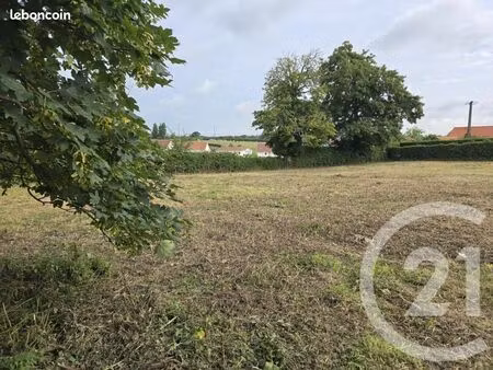 terrain 2 700 m² verlincthun