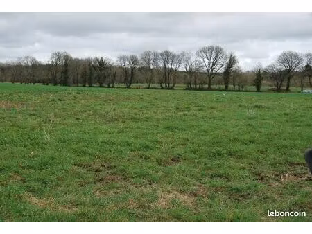 terrain 1200m2 inguiniel