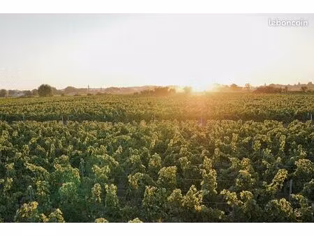 terrain 60 m² saint emilion