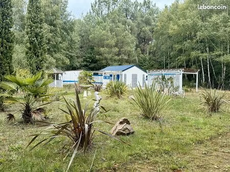 maison 1 pièce 36 m²