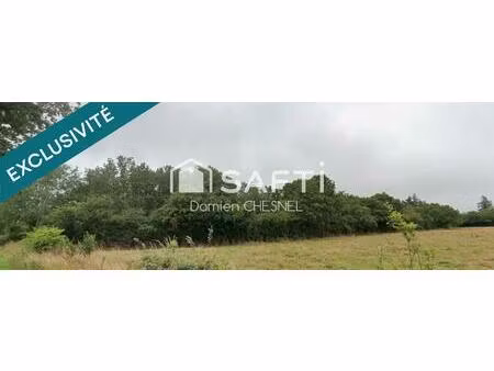 terrain boisé de 6 585 m² à lignières – idéal pour le bois de chauffage