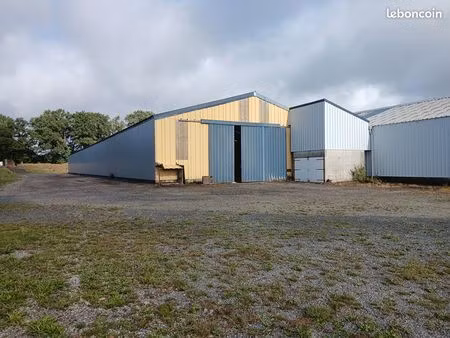 entrepôt 3200 m² naizin