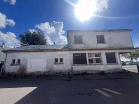 vente maison à donges (44480) : à vendre / 386m² donges