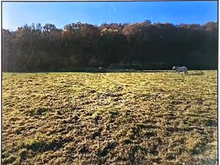 terrain constructible viabilisé à vendre