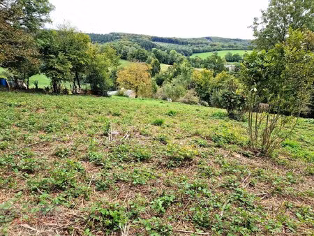 terrain constructible