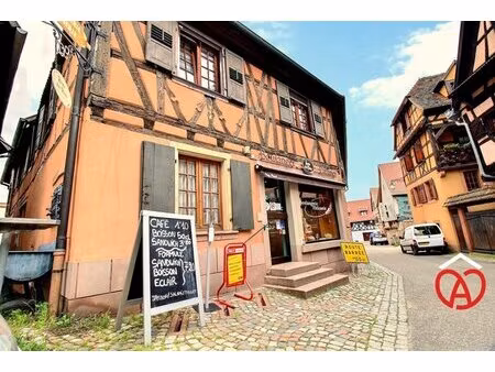 en vente immeuble de rapport 291 m² – 243 800 € |dambach-la-ville