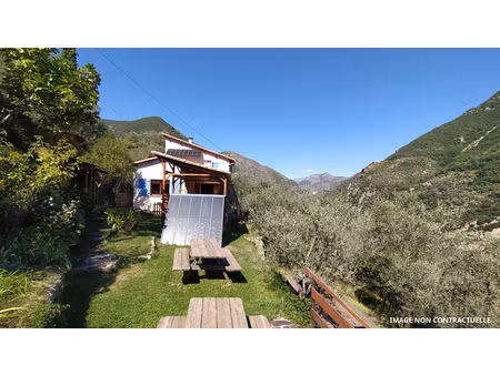 maison dans les oliviers