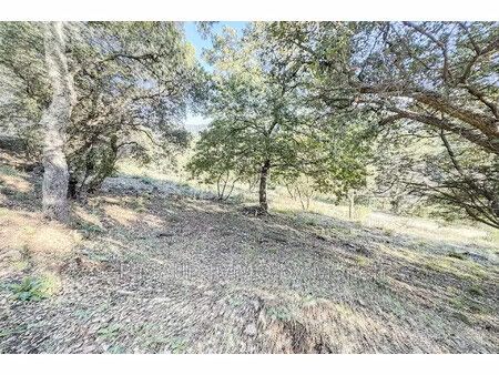 achat terrain 2 153m² la mole 83310