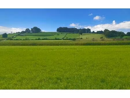 terrain constructible 11000 m2