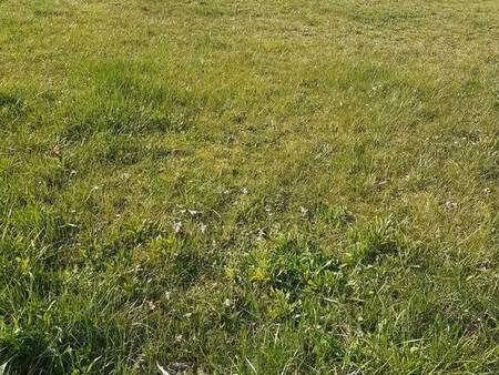 roches-prémarie-andillé (86340)