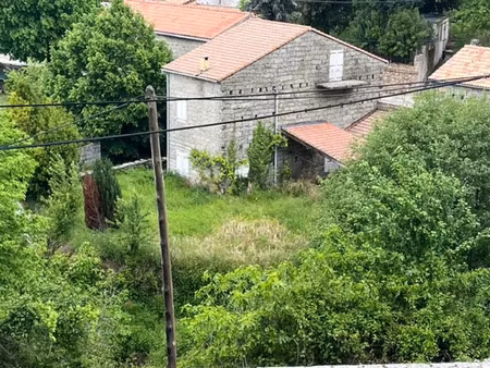 vente maison zicavo 20132 - - surface privée