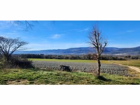 vente maison savasse 26740 - 250000 € - surface privée