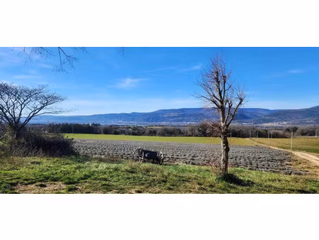vente maison savasse 26740 - - surface privée