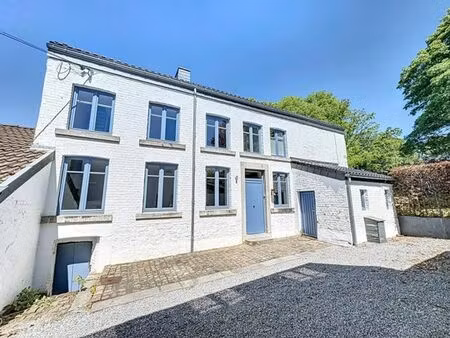 charmante maison en plein centre d'embourg !