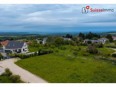 terrain ecot 1237 m2