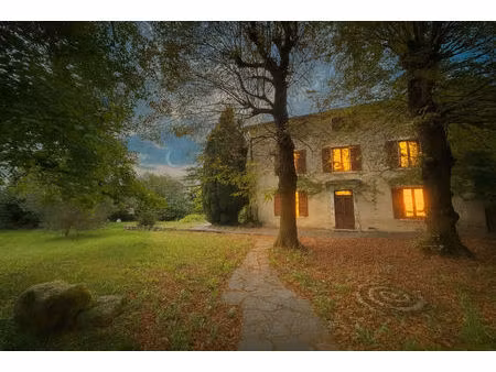 vente maison 9 pièces 300 m² vienne (38200)