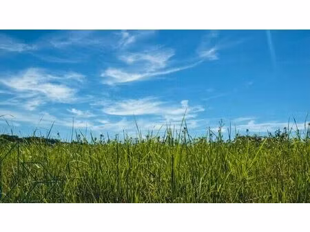 vente terrain 18469 m² nivillac (56130)