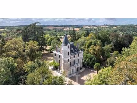 château saint-estephe (24)