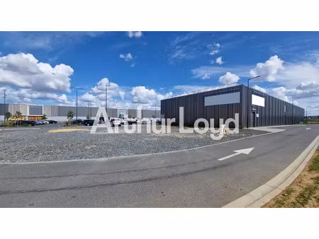 local commercial à louer - ifs - 708 m²