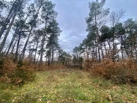 vente terrain 1203 m² montans (81600)