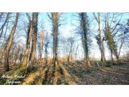 propriété de loisirs à vendre