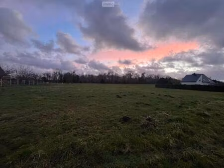 terrain constructible viabilisé à vendre